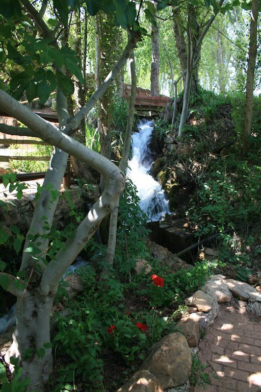 El Molino De Iramala Guest House Reolid Exterior photo